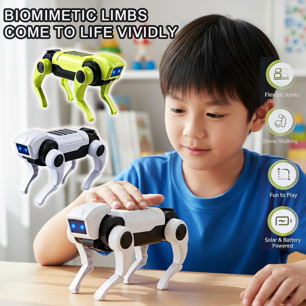 DIY Assembly RC Robot Dog Toy  - Science Diy Model recension och pris